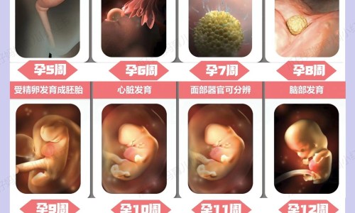 权威哺乳期可以喝体质能量饮料吗会回奶吗平台,分享专业哺乳期可以喝碳水饮料吗知识_哺乳期可以喝体质能量饮料吗网